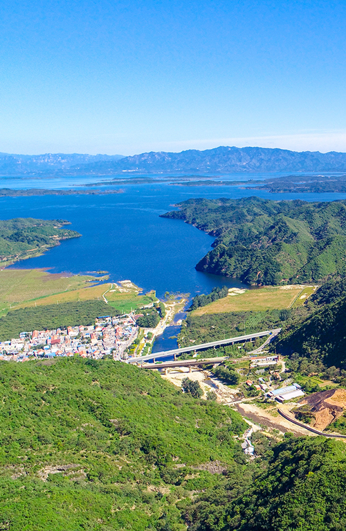 杭州市某水库堤坝白蚁监测