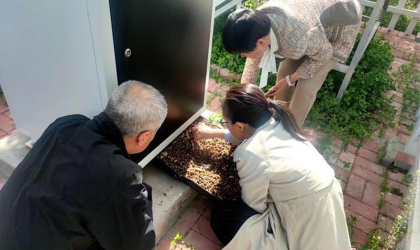 多地采用科技手段防治白蚁等害虫