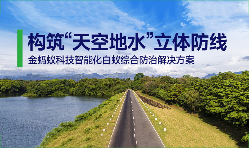 告别“人海战术”灭白蚁：如何用智慧化手段，守护水利工程与文保建筑
